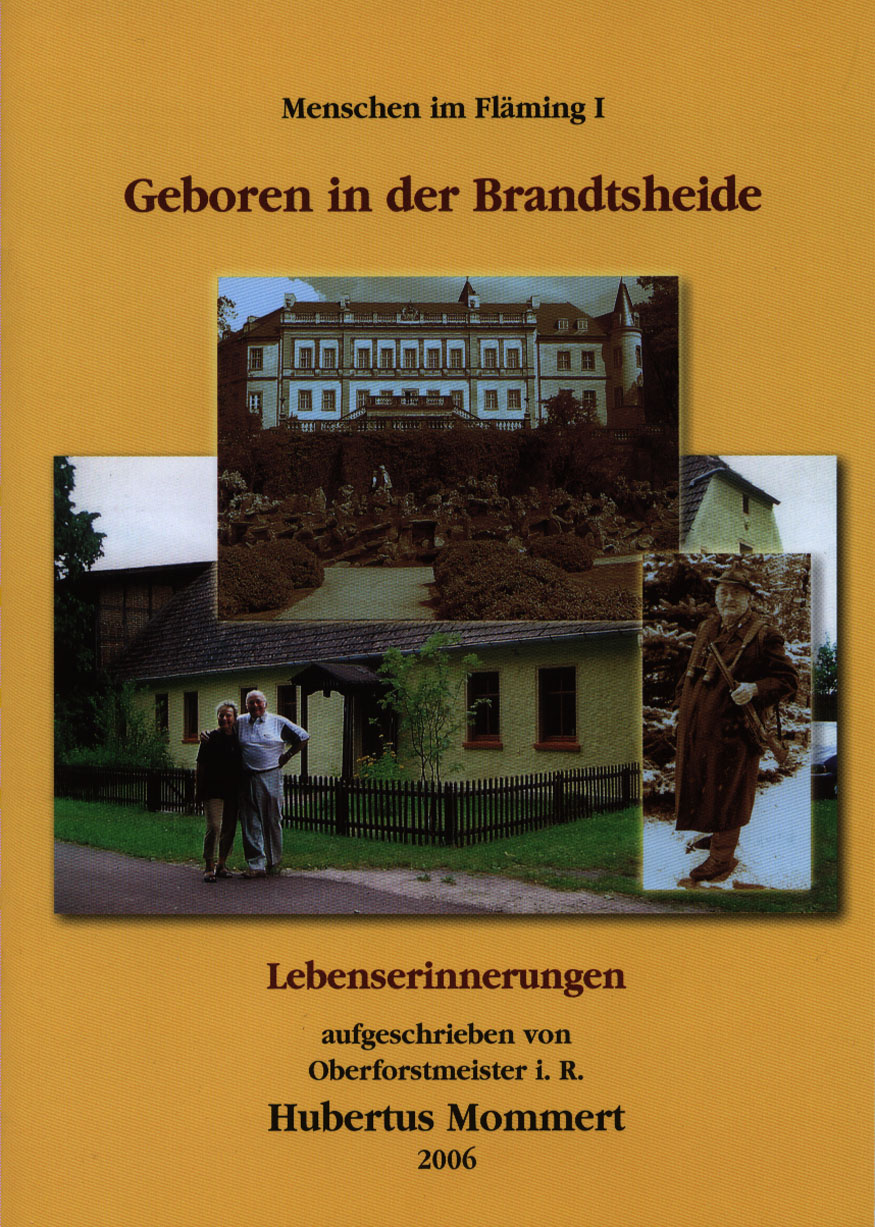 Brandsheide